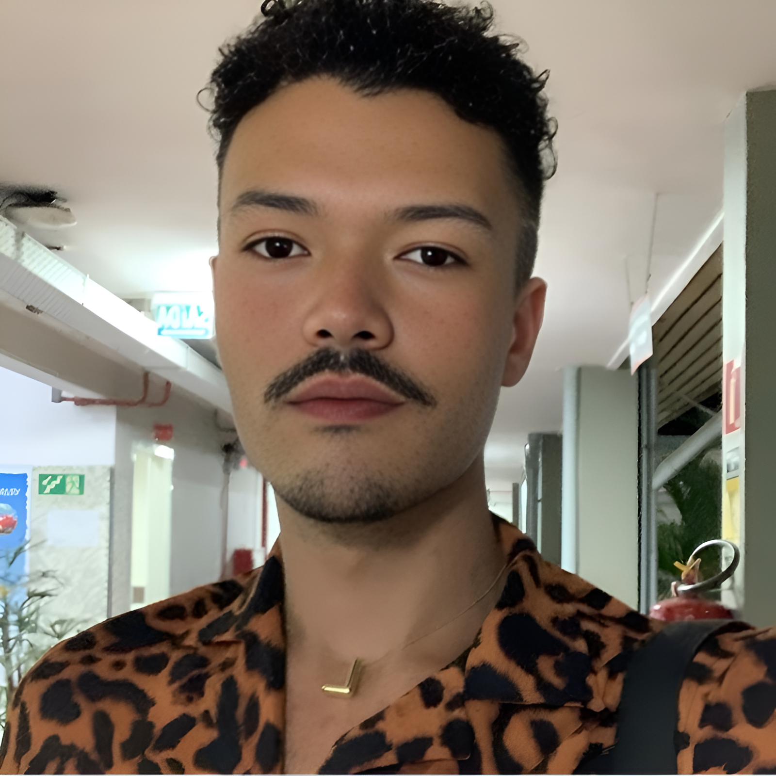 Leanttro Chatbot Icon